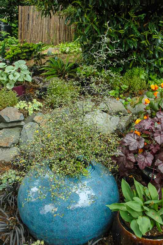 Garden Planting Service Medina